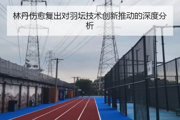 林丹伤愈复出对羽坛技术创新推动的深度分析